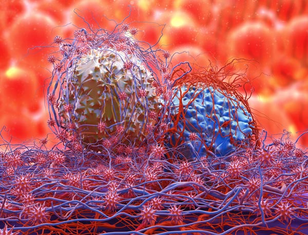 Dividing cancer cells Dividing cancer cells