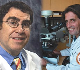 Dr. Harvey Pass & Dr. Michelle Carbone Dr. Harvey Pass & Dr. Michelle Carbone