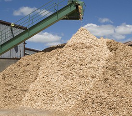 Processed wood chips Processed wood chips