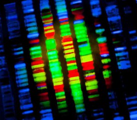 Genetic Testing
