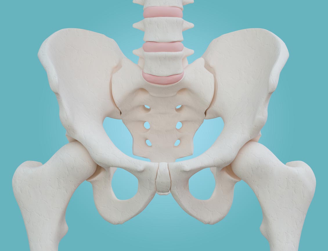 Hip bone on blue background. Hip bone on blue background.