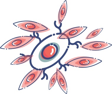 CAR T cells, or genetically engineered immune cells, attack a cancer cell