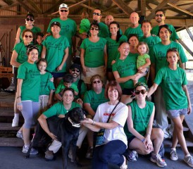 Irish Stampede group shot Irish Stampede group shot