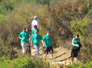 Irish Stampede walking on trail Irish Stampede walking on trail