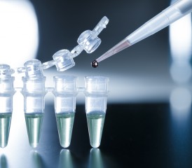 Dropper filling vials with liquid Dropper filling vials with liquid
