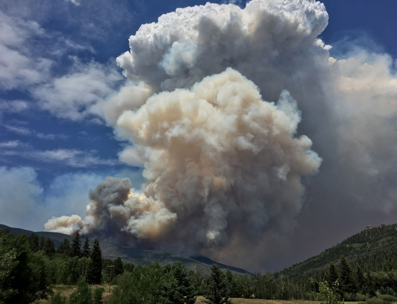 Libby forest fire Libby forest fire