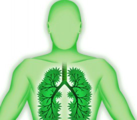 Green illustration of man's lungs Green illustration of man's lungs