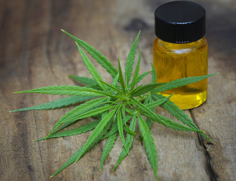 medical-marijuana-with-extract-oil medical-marijuana-with-extract-oil