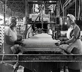 Asbestos factory workers Asbestos factory workers
