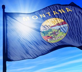 Montana state flag Montana state flag
