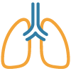 lungs
