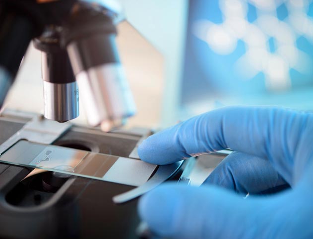 Study Uncovers Drug Combination for Sarcomatoid Mesothelioma