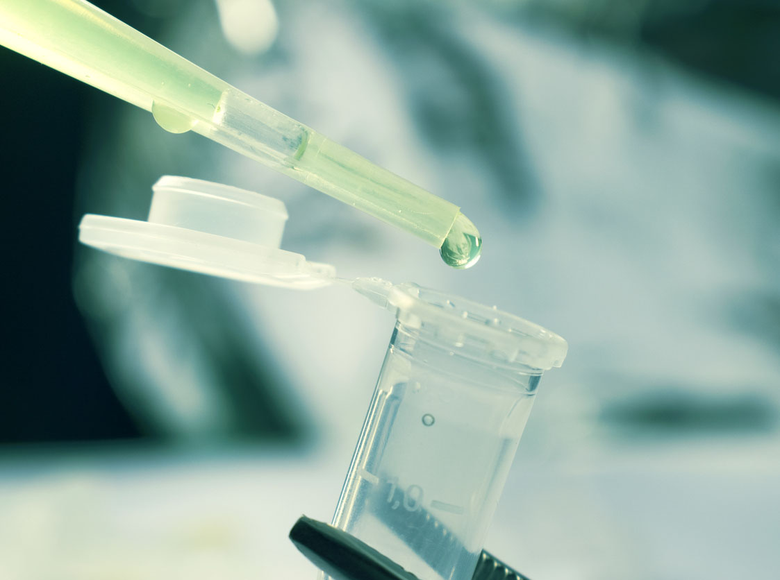 Pipette drop of stem cells Pipette drop of stem cells