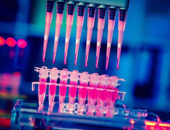 Gene Therapy Gene Therapy