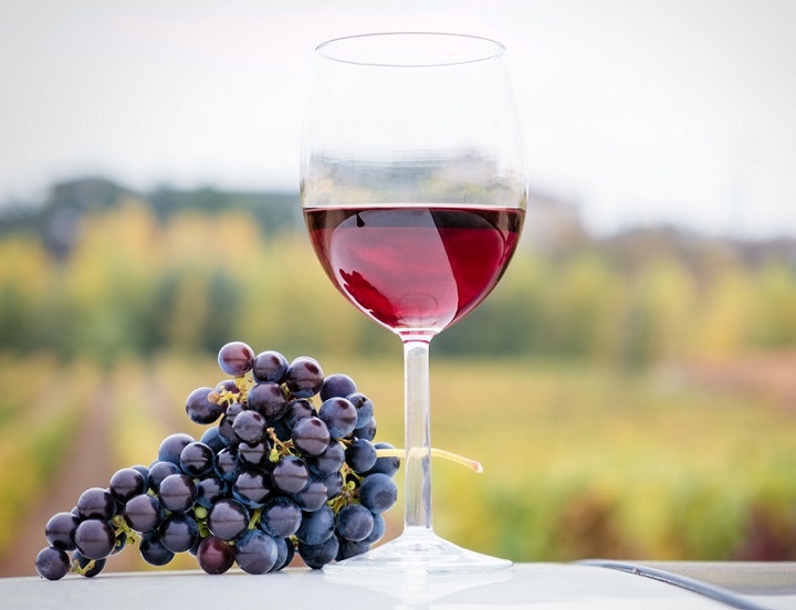 Glass of red wine and bunch of grapes Glass of red wine and bunch of grapes