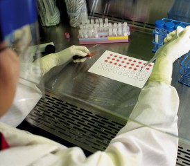 Researcher conducting immunotherapy clinical trial Researcher conducting immunotherapy clinical trial