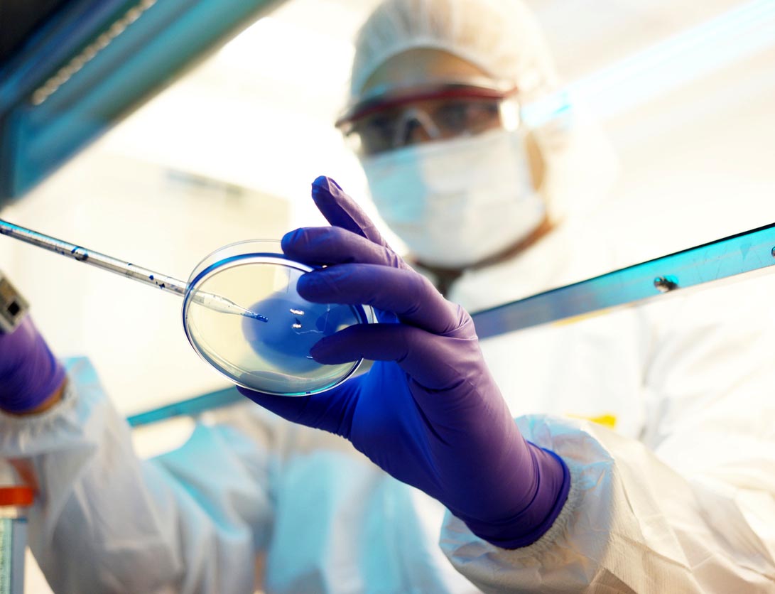 Researcher holds a Petri dish Researcher holds a Petri dish