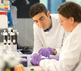 Scientist with purple gloves in a lab Scientist with purple gloves in a lab