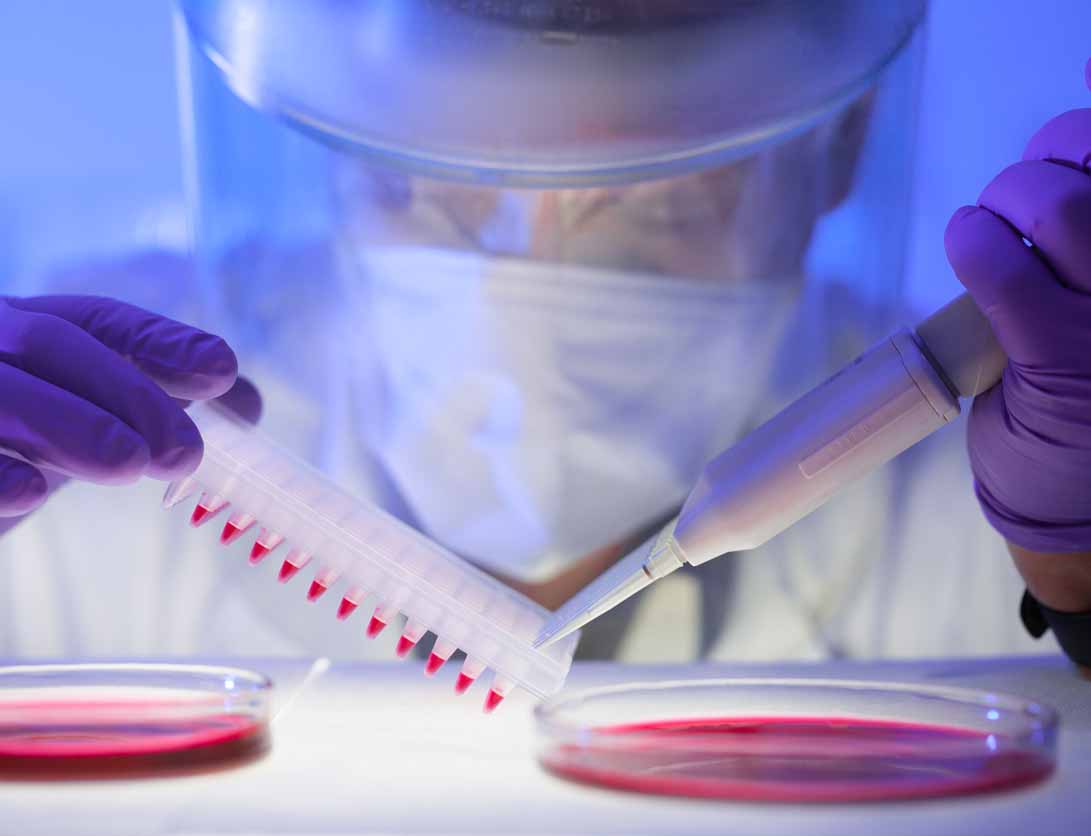 Scientist with Petri dishes Scientist with Petri dishes