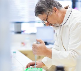 Doctor Doing Research Doctor Doing Research