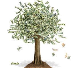 Money Tree Money Tree