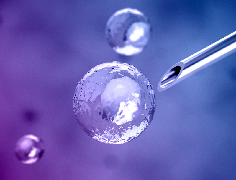 Stem cell research Stem cell research
