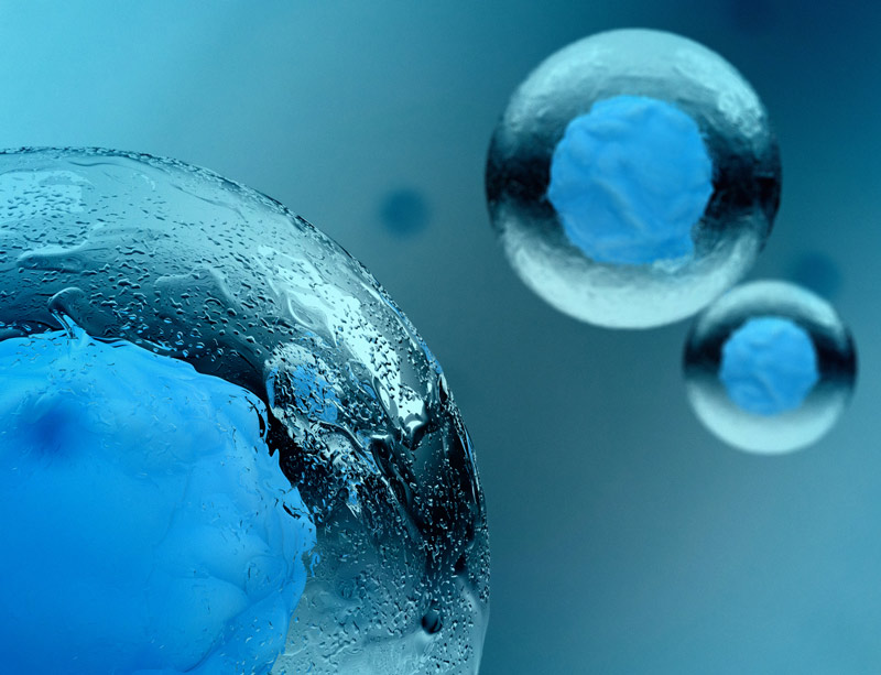 stem-cells stem-cells