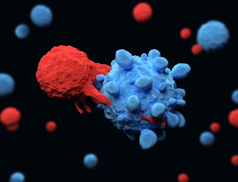 T cell attacking cancer cell T cell attacking cancer cell