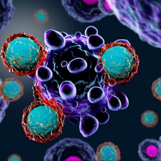 T cell immunotherapy