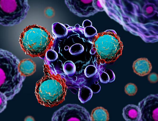 T cell immunotherapy T cell immunotherapy