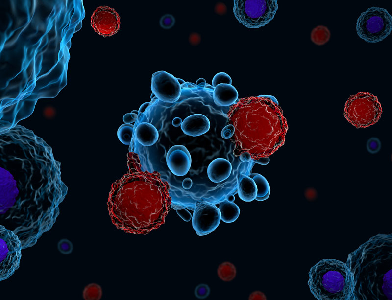 T-cells attacking cancer T-cells attacking cancer