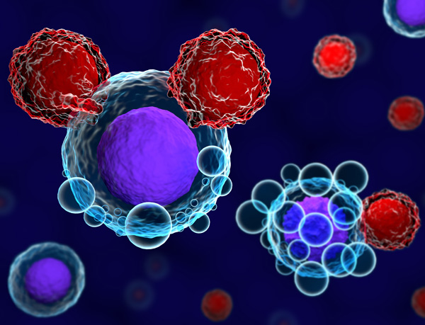 T cells attacking cancer T cells attacking cancer