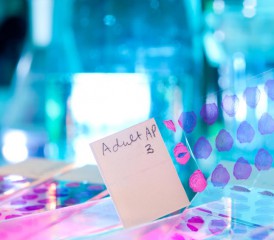 Sample at a tissue bank Sample at a tissue bank