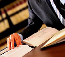 Lawyer Reading a Book Lawyer Reading a Book