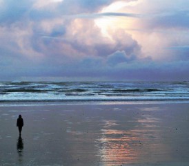 Person Walking Alone on Beach Person Walking Alone on Beach