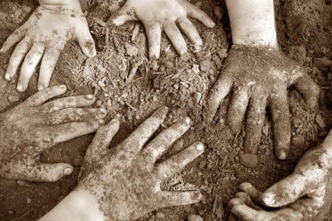 Young hands in dirt