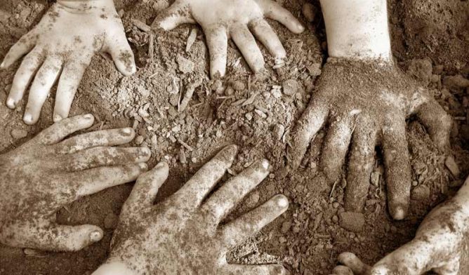 Young hands in dirt