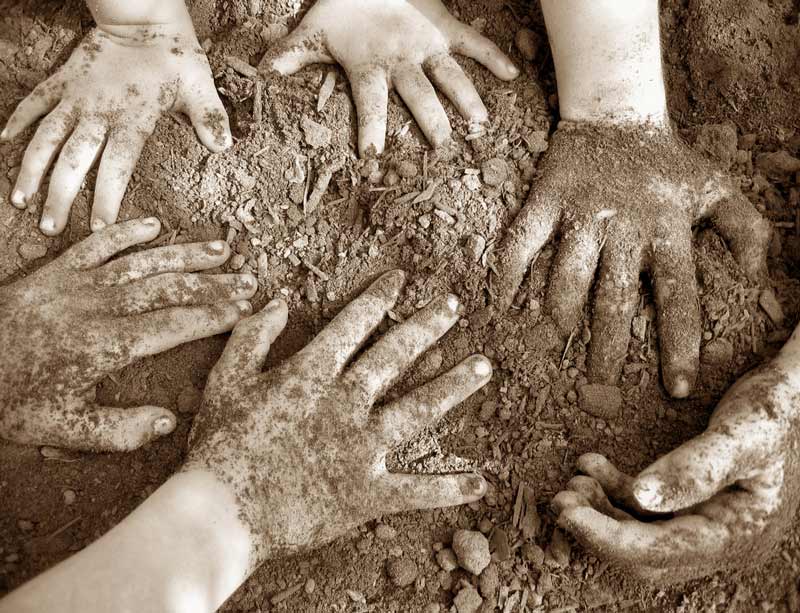 Young hands in dirt